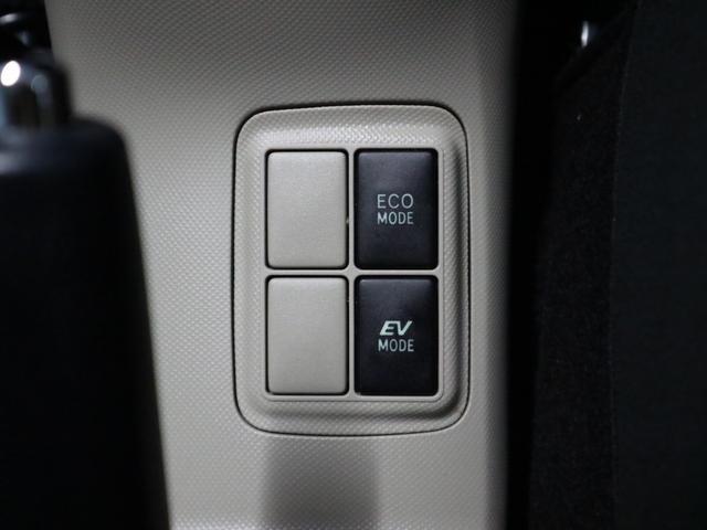 0500075A20260221K00617.jpg