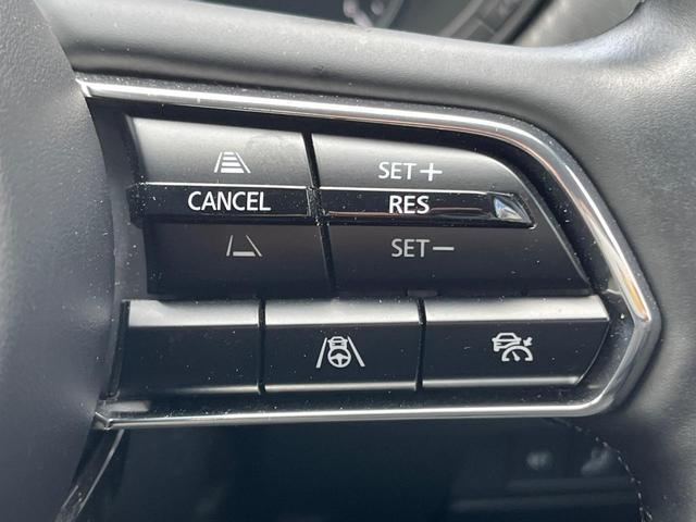 22486070_carP_l_13.jpg