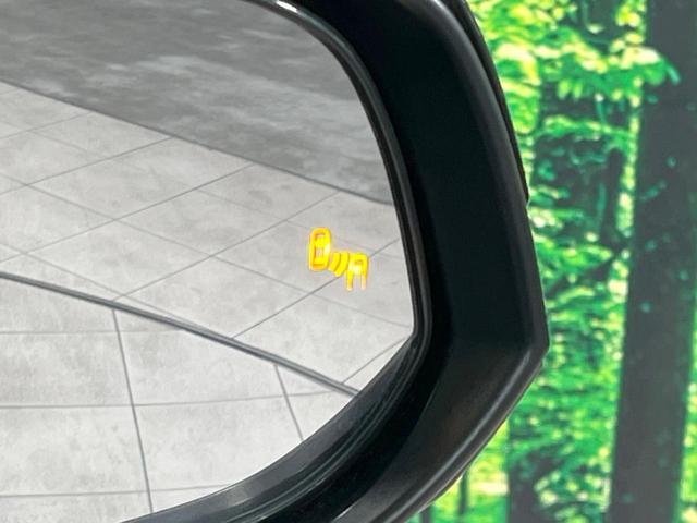 20384493_carP_l_13.jpg