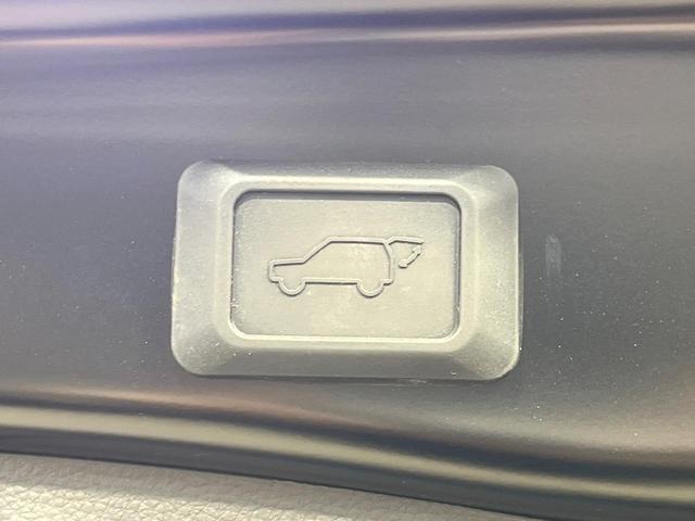 20384493_carP_l_17.jpg