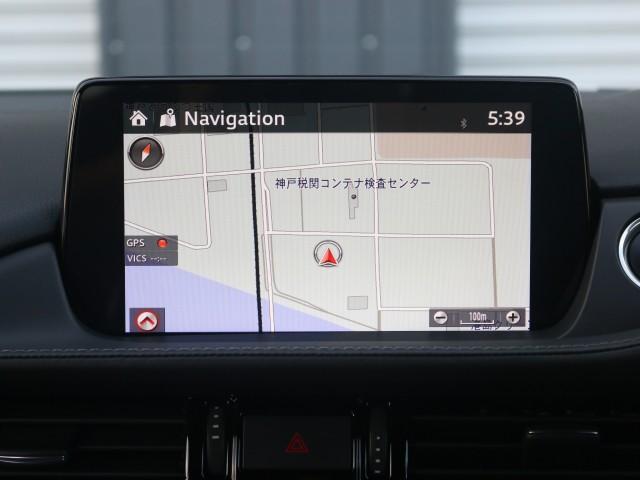 22804957_carP_l_10.jpg