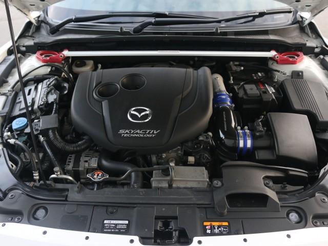 22804957_carP_l_17.jpg
