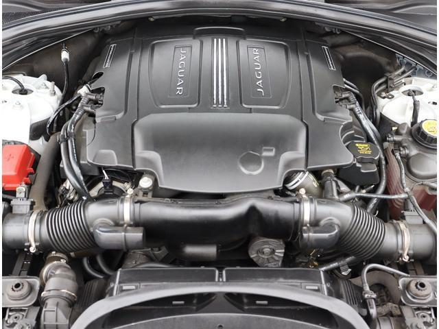 22524975_carP_l_20.jpg