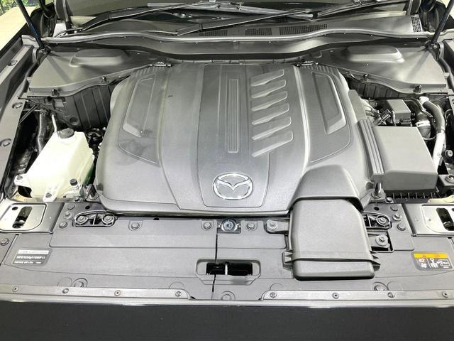 22957072_carP_l_16.jpg