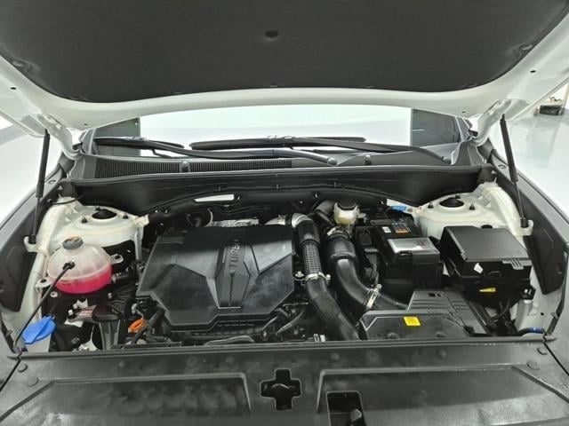 5041000215R5.jpg
