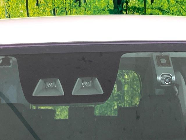22372694_carP_l_10.jpg
