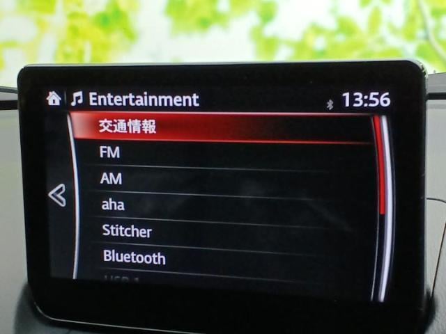 17701207_carP_l_5.jpg