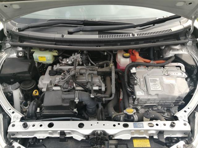 22697861_carP_l_7.jpg