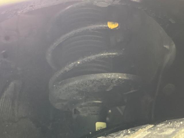 21565753_carP_l_20.jpg