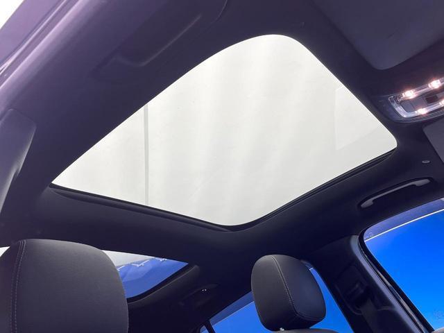 20956985_carP_l_4.jpg