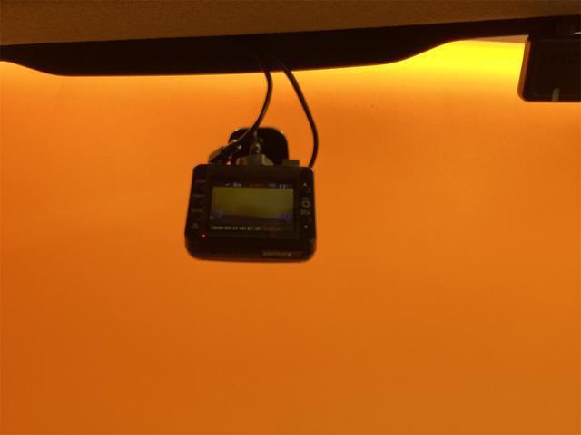 22890641_carP_l_6.jpg