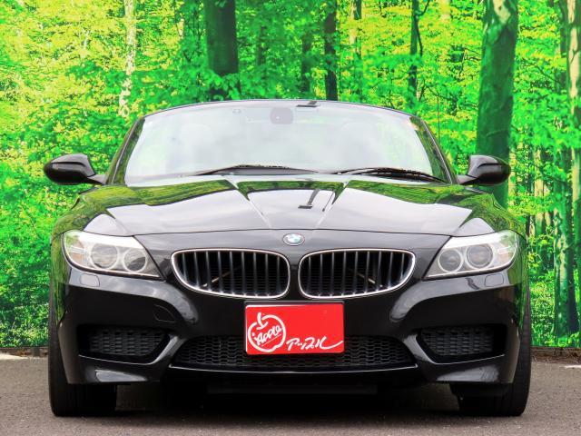 22229063_carP_l_15.jpg