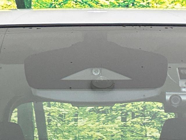22467885_carP_l_10.jpg