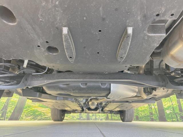 23188452_carP_l_18.jpg