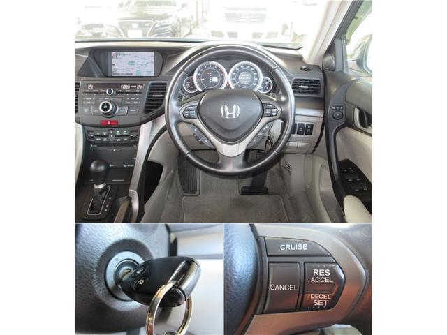 40bb9cdd8dc531acf86a2db4ae78a529.jpg