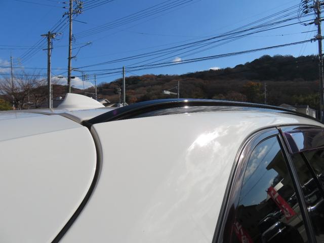 1000204A30251221W00113.jpg