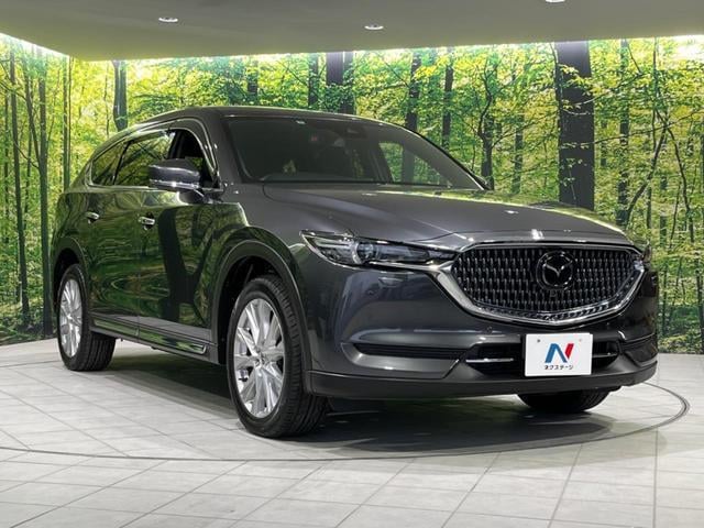 19506605_carP_l_16.jpg