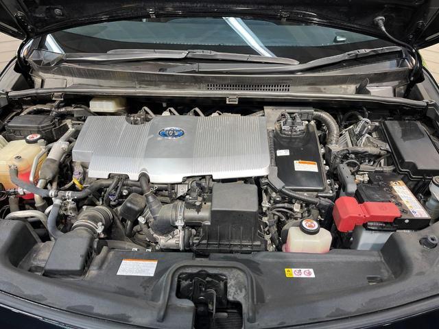21289544_carP_l_16.jpg