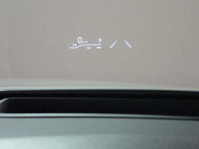 0230024A30251125W00606.jpg