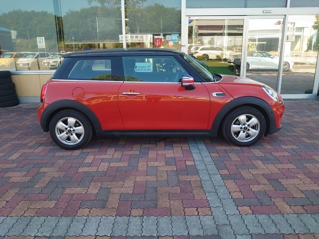 19441260_carP_l_4.jpg