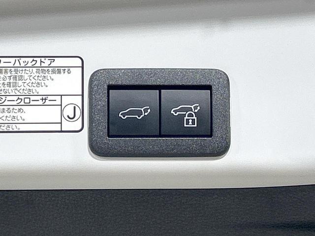 22040042_carP_l_14.jpg