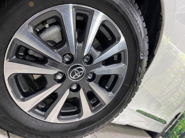22058334_carP_l_7.jpg