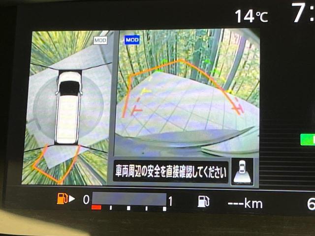 20923318_carP_l_13.jpg