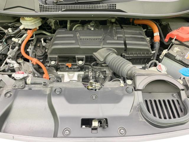 22095554_carP_l_18.jpg