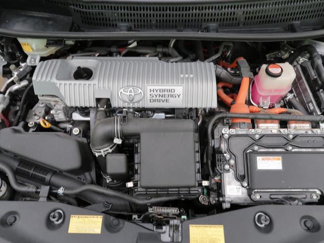 20764940_carP_l_11.jpg