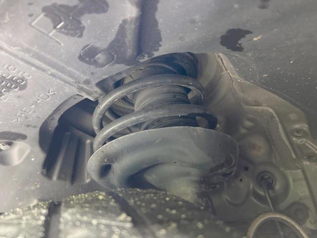 21344265_carP_l_20.jpg