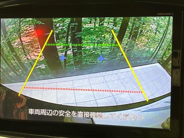 22487452_carP_l_13.jpg