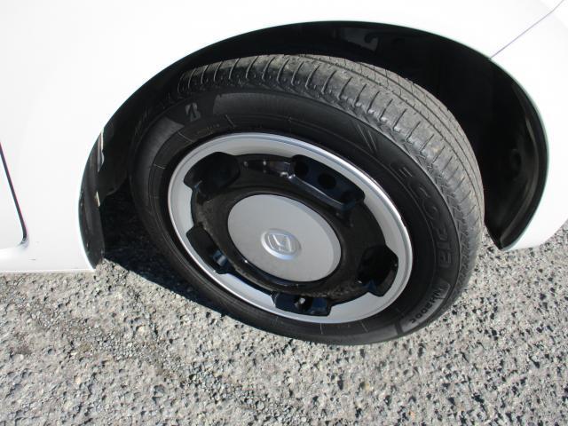 21331022_carP_l_16.jpg