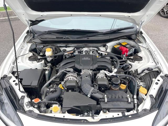 22739659_carP_l_16.jpg