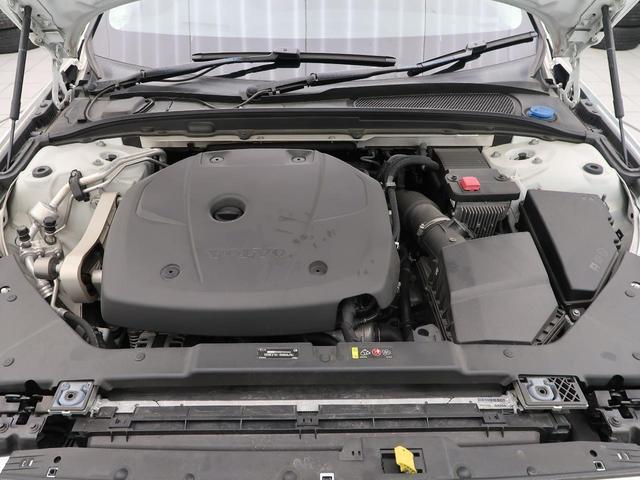 23054081_carP_l_18.jpg