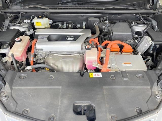 19881099_carP_l_16.jpg