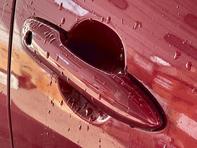 1150133A30260130W00108.jpg