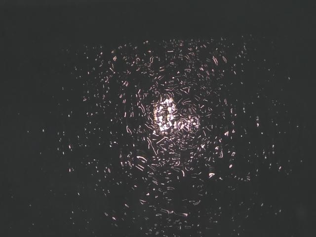 346265373367a31977942686ba5676bf.jpeg