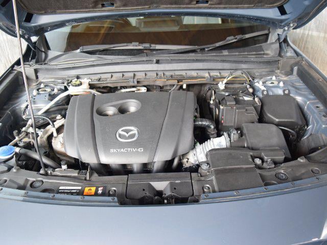fa119ad0eba43920c5319b2fbf6dd917.jpg
