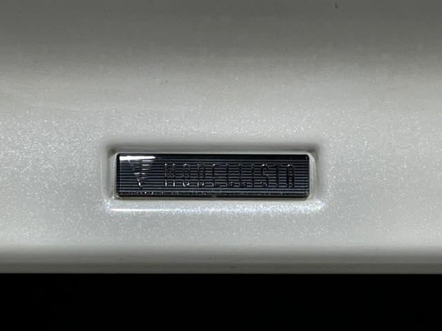 19460935_carP_l_15.jpg