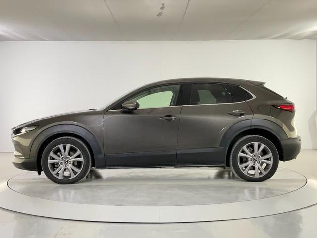 0561150A30260115W00203.jpg