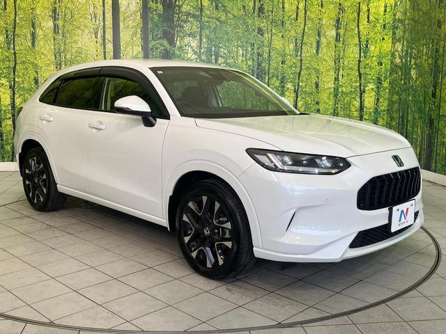 21343131_carP_l_11.jpg
