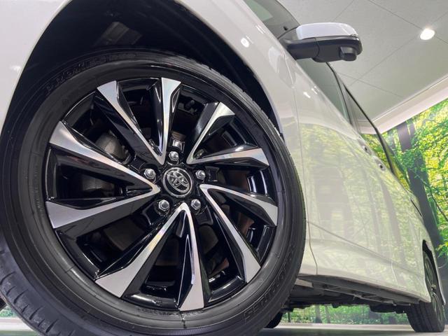 23015031_carP_l_8.jpg