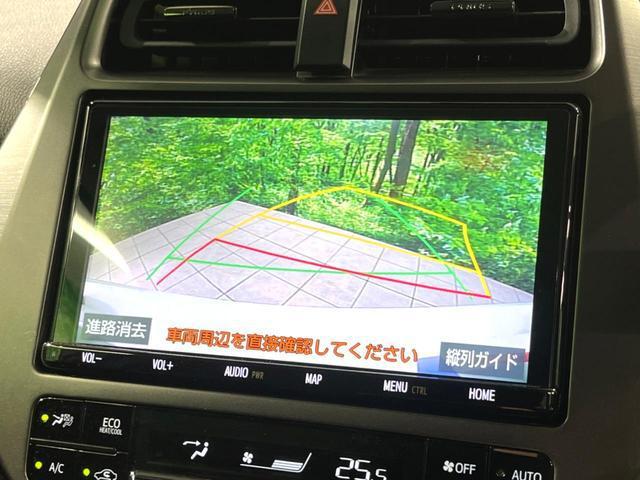 22392651_carP_l_10.jpg