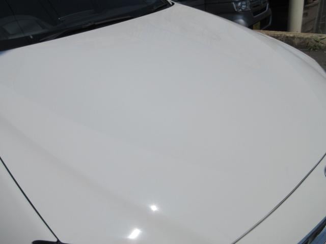 9510341A30250819W00211.jpg