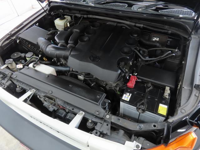 23039997_carP_l_17.jpg
