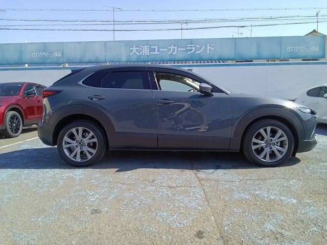 70cb0617bd28a171412fc85b970e7377.jpg