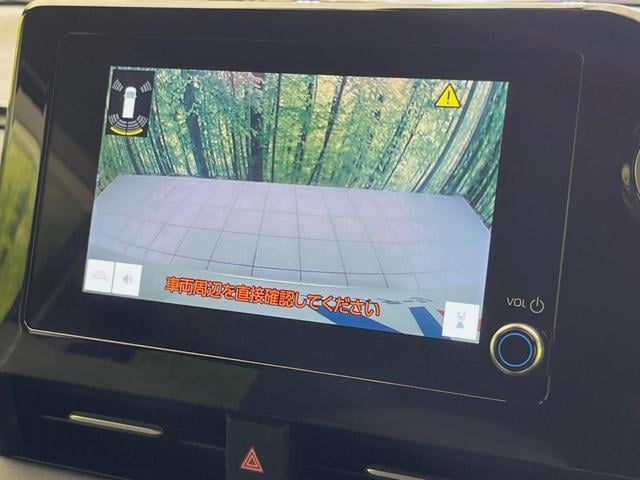 18667490_carP_l_10.jpg