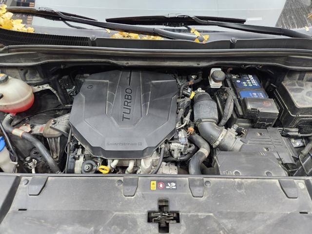 lotterental_155004427_jfn8W_2.jpg