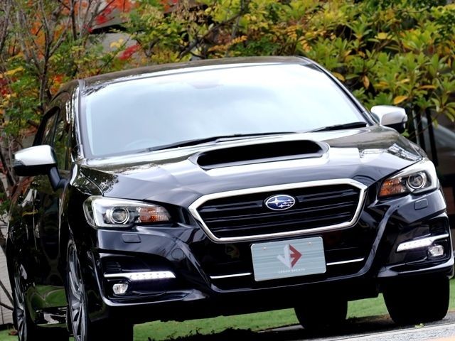 e544319a0c9208f9fe68dee383af858a.jpg