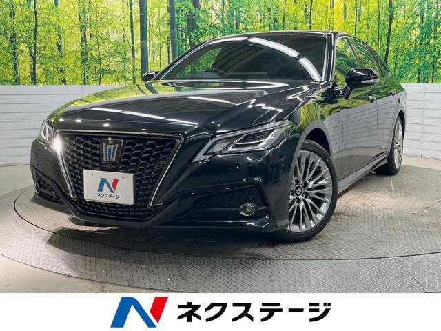 23168733_carP_l_1.jpg
